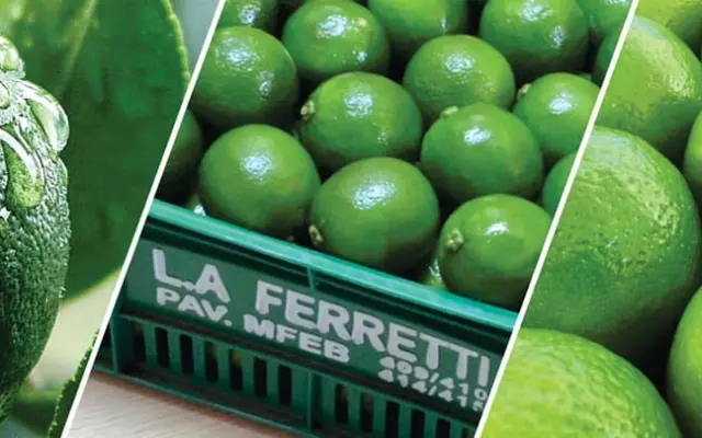 L.A. Ferretti lança Cartilha Orientativa do Limão Tahiti