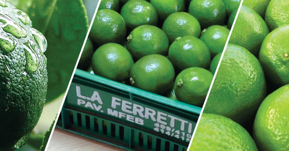 L.A. Ferretti lança Cartilha Orientativa do Limão Tahiti