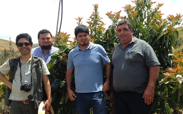 L.A. FERRETTI visita produtores de abacate no Chile