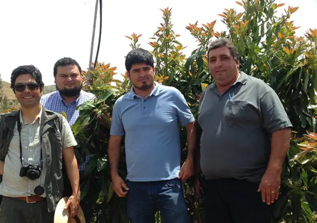 L.A. FERRETTI visita produtores de abacate no Chile