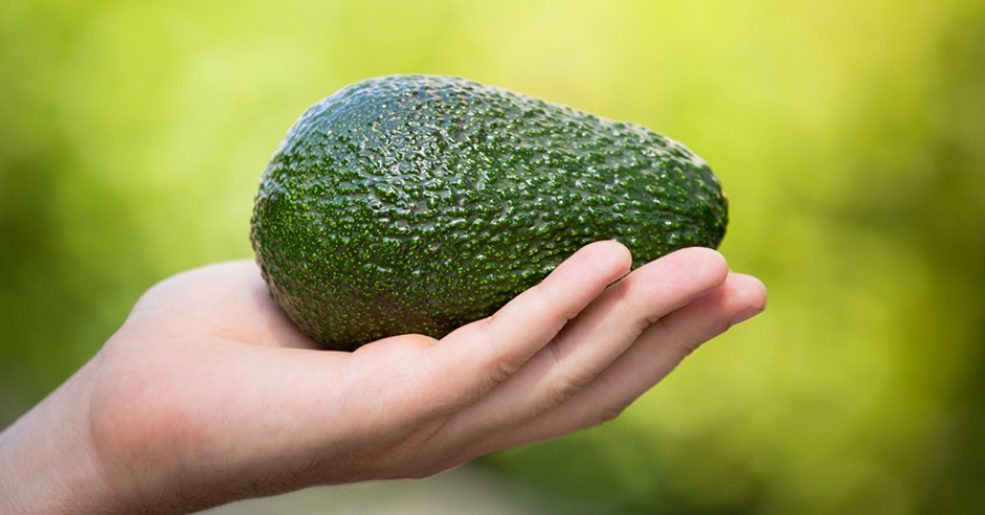 Alimentos que não podem faltar no seu dia a dia