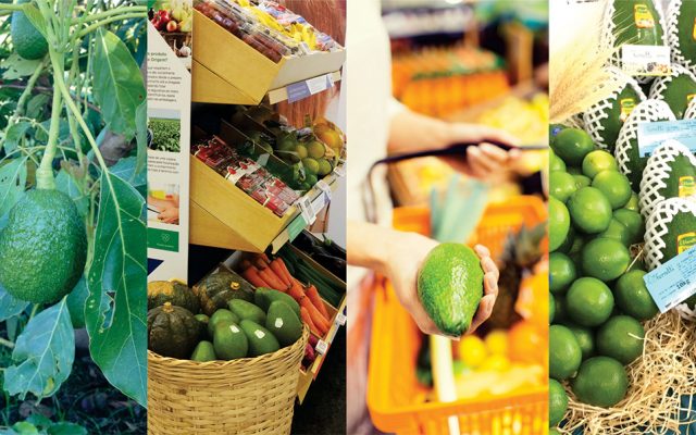 Vegetais Saudáveis e ABRAS: Tecnologia do Campo ao Supermercado