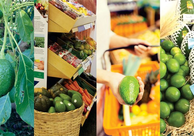 Vegetais Saudáveis e ABRAS: Tecnologia do Campo ao Supermercado