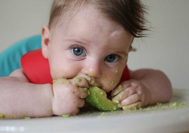 Abacate: como utilizar na alimentação das crianças?