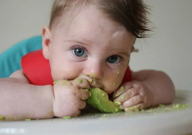 Abacate: como utilizar na alimentação das crianças?