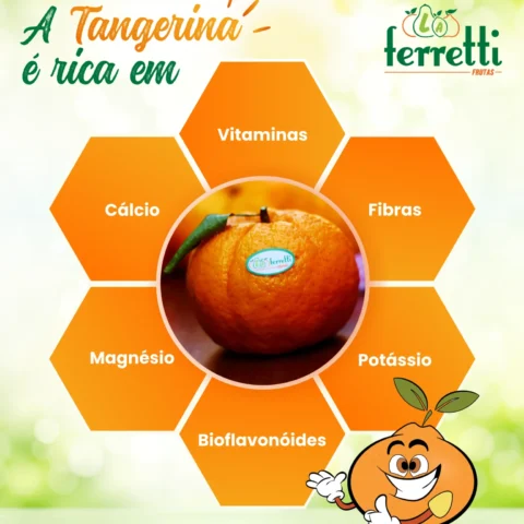 Benefícios da Tangerina