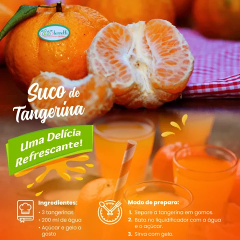 Suco Refrescante de Tangerina