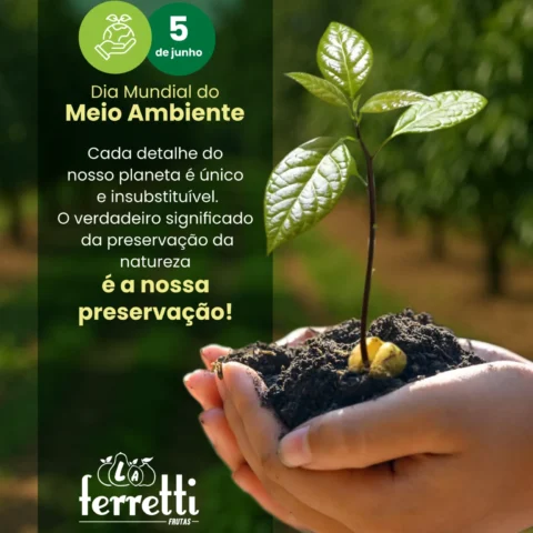 Dia Mundial do Meio Ambiente — 5 de junho