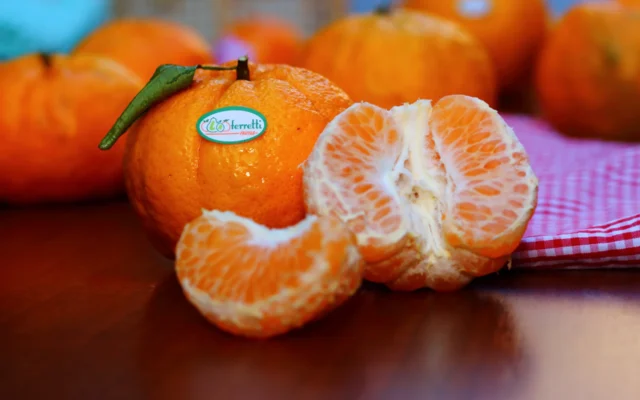 Época da tangerina! Capriche nas receitas