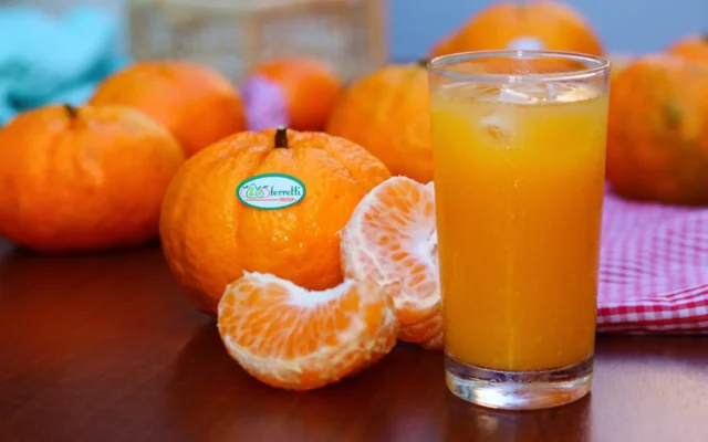 Suco Refrescante de Tangerina
