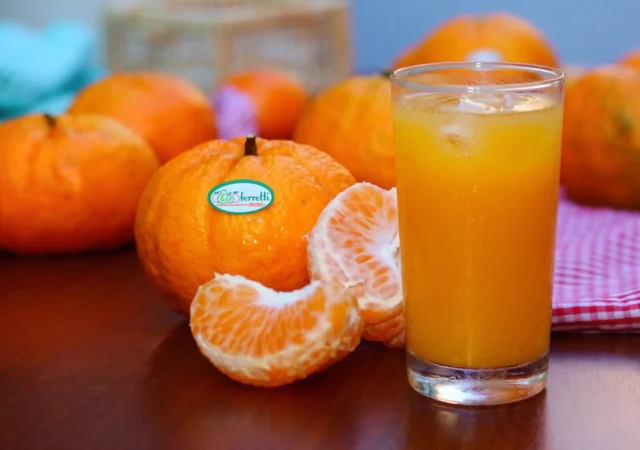 Suco Refrescante de Tangerina