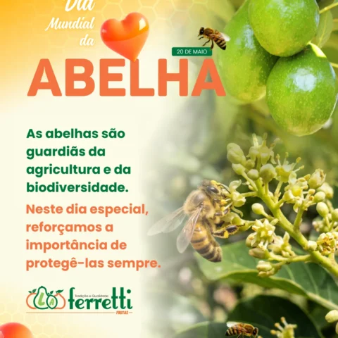 Dia Mundial da Abelha | 20 de maio