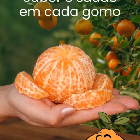 Tangerina! Sabor e saúde em cada gomo!
