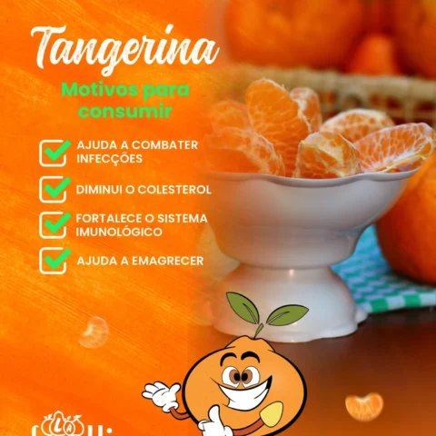 Tangerina: pequena no tamanho, gigante nos benefícios!