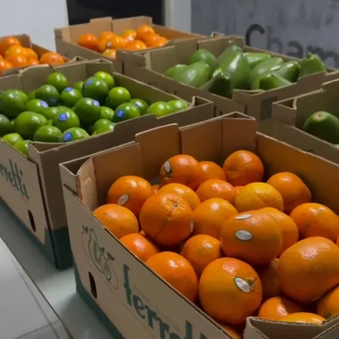 Frutas L.A. Ferretti