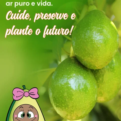 Hoje é o Dia da Árvore!