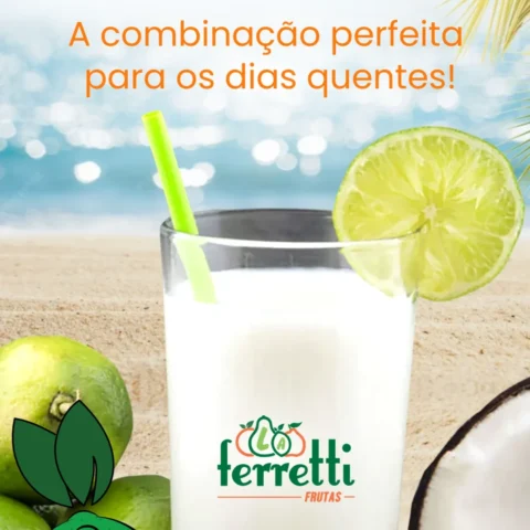 Receita de Limonada com Água de Coco