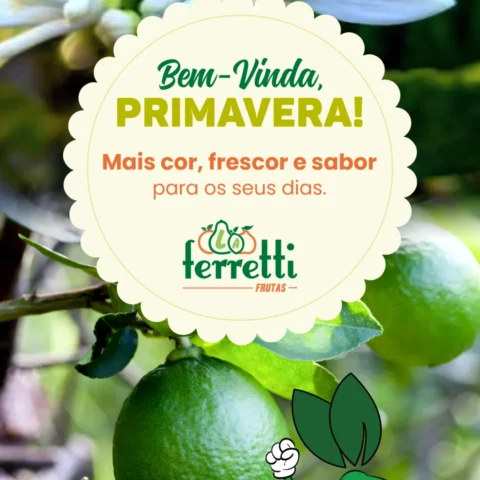 Bem-vinda, primavera! 