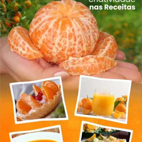 É época de tangerina!